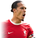 V. van Dijk