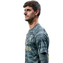 T. Courtois