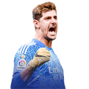T. Courtois