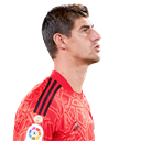 T. Courtois
