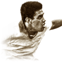 Ảnh của Garrincha