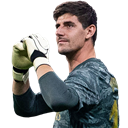 T. Courtois