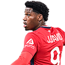 Ảnh của J. David