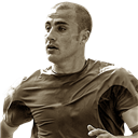 F. Cannavaro