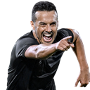 Pedro