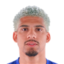 R. Araujo