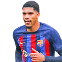 R. Araujo