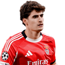 Ảnh của António Silva